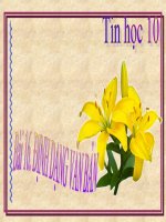 bai16 dinh dang van ban