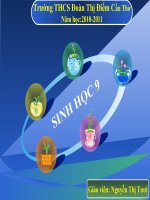 Tài liệu Bài 39 TH Tìm hiểu thành tựu giống vật nuôi và cây trồng