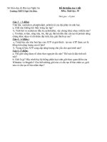 đề kiểm tra 1t sinh 10