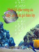 Tiết 31 Cấu tạo ngoài của cá chép