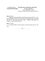 Bài soạn HSG VĂN-HUYỆN BÌNH ĐIỀN 2008-2009