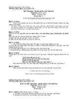 Tài liệu DE THI HSG LOP 5 MON TIENG VIET 2010 - 2011