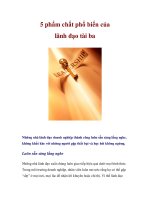 5 phẩm chất phổ biến của lãnh đạo tài ba