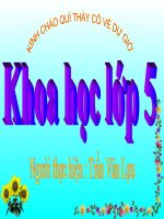 Bài 31 : Chất dẻo