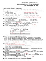 ĐỀ +ĐÁP ÁN  KTTT LẦN 1-11