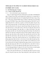 TỔNG QUAN VỀ CÔNG TY VÀ PHÂN TÍCH CƠ BẢN CÁC CỔ PHIẾU S55 VÀ SNG