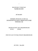 Mở rộng tín dụng ưu đãi tại chi nhánh ngân hàng chính sách xã hội tỉnh đăk lăk 