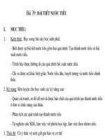 Tài liệu Bài tiết nước tiểu