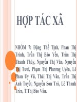 HỢP tác xã 