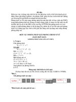 GIAI PHUONG TRINH VO TI TREN MTCT
