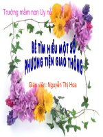 Bài giảng hoa ptgt