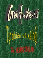 Bài soạn TNVXH RE CAY (TT)