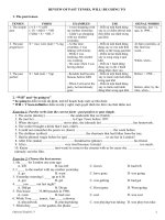 Will, be going to, past tenses