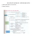 Đề cương ôn tập hóa học 11 trương THPT Phan Châu Trinh Đà Nẵng 2010