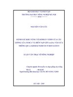 Luận văn đánh giá khả năng tái sinh in vitro của các giống lúa indica và biến nạp gen cryIAc vào lúa thông qua agrobacterium tumefaciens 