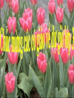 Bài giảng anh dom dom lop 3 tuan 18