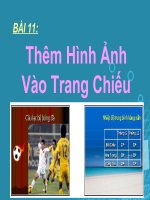 Tài liệu bai 11 them hinh anh bao trang chieu