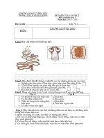 Đề kiểm tra 45 phút.môn sinh học 7. Năm học 2010-2011