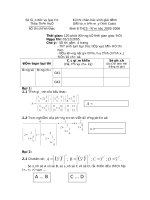 DE+DA MAY TINH THUA THIEN HUE 2005