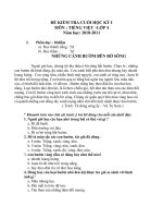 đê kt tiêng viêt ck1 2010