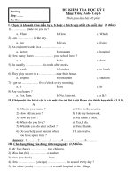 Đề mẫu thi HKI Anh 6 số 8