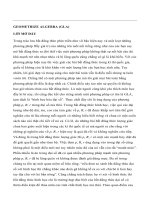 GEOMETRIZE ALGEBRA (GLA)