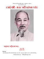 CHỦ ĐỀ : BÁC HỒ KÍNH YÊU