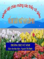 T71 : Chiếc  Lược  Ngà ( Văn 9 )