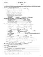 de thi hoc ki I 2010-2011 (tham khảo)