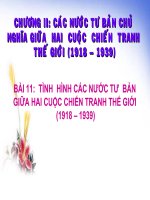 Bài soạn TÌNH  HÌNH CÁC NƯỚC TƯ  BẢN GIỮA HAI CUỘC CHIẾN TRANH THẾ GIỚI