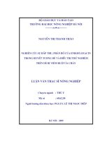 Nghiên cứu sự hấp thu phân bố của enrofloxacin trong huyết tương dê và điều trị thử nghiệm trên dê bị viêm ruột ỉa chảy 