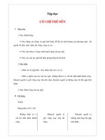 Tập đọc - CÓ CHÍ THÌ NÊN