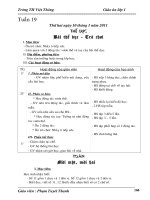 Gián án tuan 19-lop1-3cot-haiqv