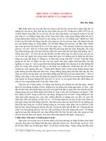 Bài soạn Tư liệu Cô bé bán diêm