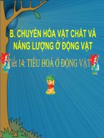Gián án Tiết 14- SNC - Tiêu hóa