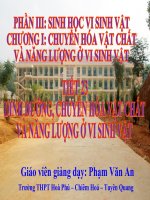 Gián án Tiết 23 - Dinh dưỡng, chuyển hóa vật chất ...