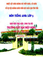 Tiếng Anh lớp 3: Our pets.