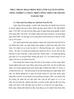 THỰC TRẠNG HOẠT ĐỘNG BẢO LÃNH TẠI NGÂN HÀNG NÔNG NGHIỆP VÀ PHÁT TRIỂN NÔNG THÔN CHI NHÁNH NAM HÀ NỘI