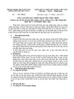 Bài giảng BC phòng chống tội phạm, PCMT, HIV/AIDS và chữ thập đỏ cuối HK1 ( 10 - 11)