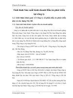 Tình hình Sản xuất kinh doanh Đầu tư phát triển tại công ty