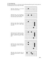 Nhập môn cờ vậy - Phần 10