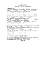 Đề thi HK 1 Năm học 10 - 11