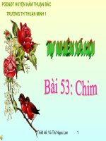Gián án Bài 53: Chim