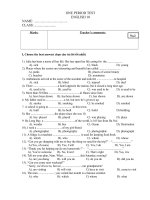 test45''''_No2 tuyet cu meo