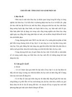 Tài liệu Chuyuen de 