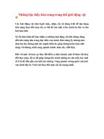 Gián án Những bậc thầy hóa trang trong thế giới động vật