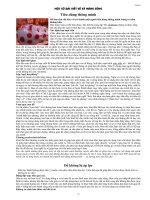 Bài giảng Rèn kỹ năng sống cho các học sinh THCS.