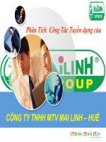 Phân tích  công tác tuyển dụng của CÔNG TY TNHH MTV MAI LINH – HUẾ 