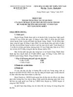 Bài soạn Bao cáo thành tích