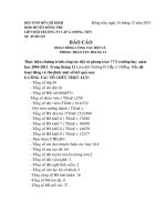 báo cáo đội thang12 của trường pt cấp 2-3 đồng tiến